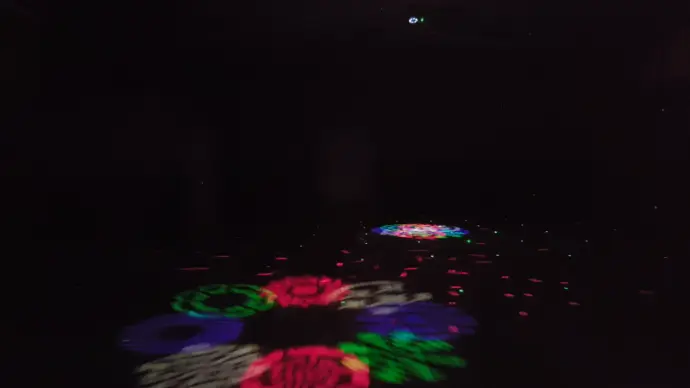 Sala Butterfly 21